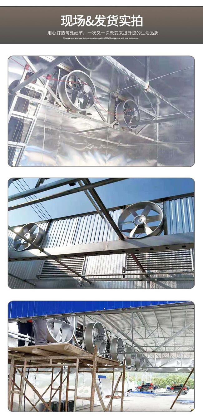 LC_09.jpg